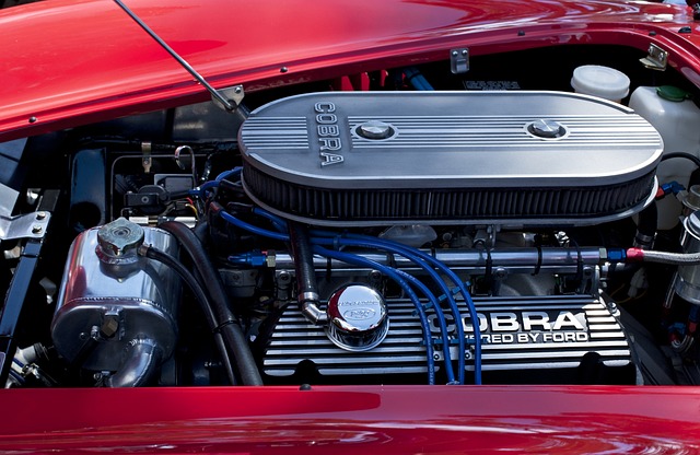 Oil and Fuel Filter  Market